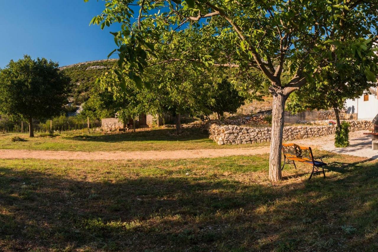 Kuca Za Odmor Lucija Apartment Vrana  Екстериор снимка